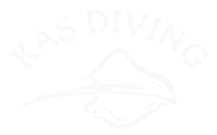 Kas Diving Retina Logo