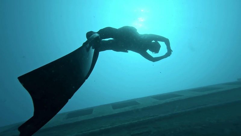 WhatsApp Image 2026-01-17 at 18.14.40-3