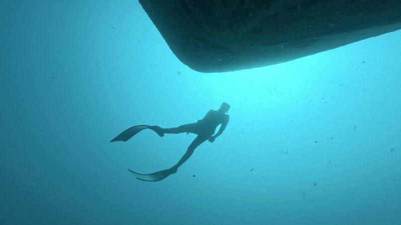 WhatsApp Image 2026-01-17 at 18.14.40