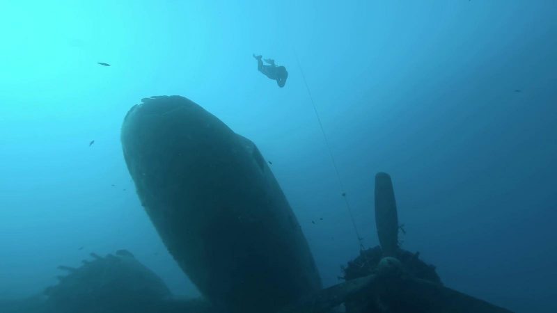 WhatsApp Image 2026-01-17 at 18.15.17